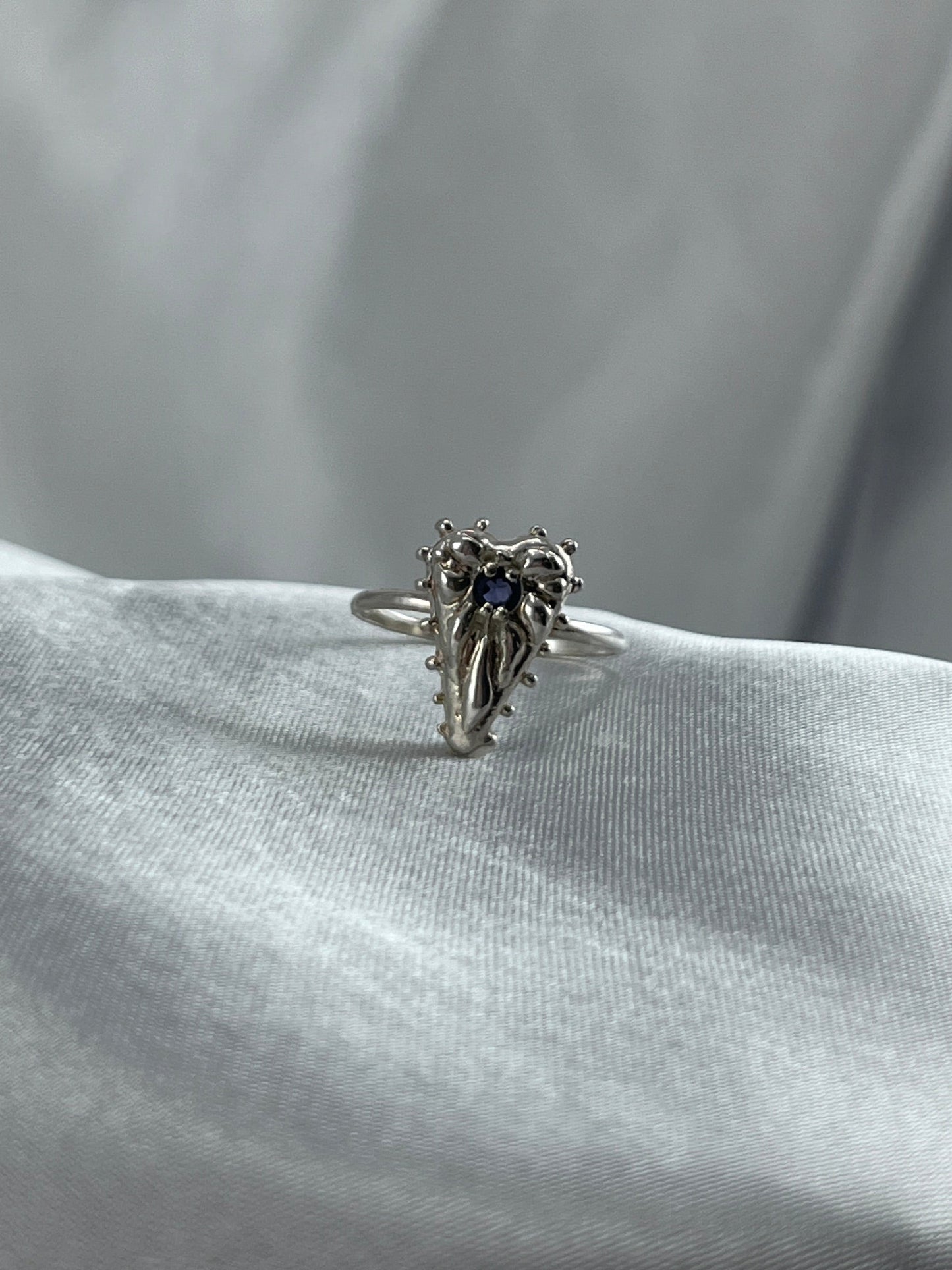 Ardor Ring - Size US 7.25