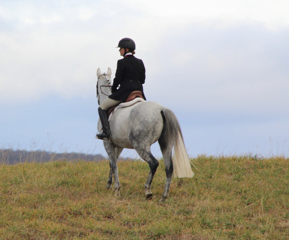 Person riding a gray horse on a grassy field with a clear sky.